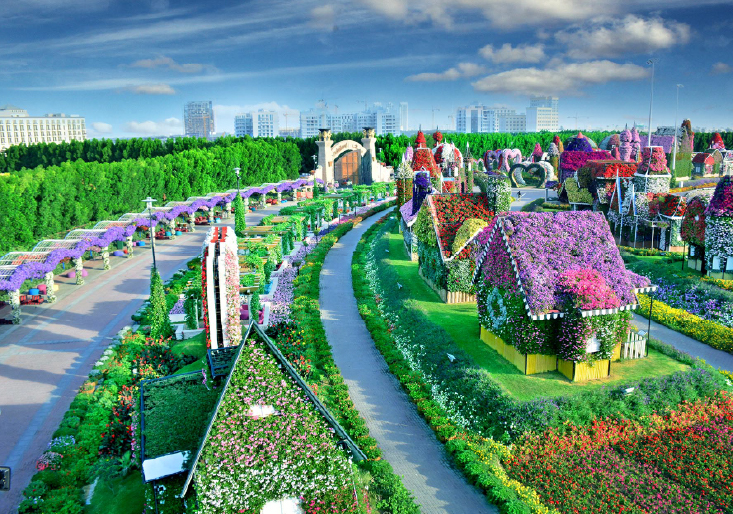 Miracle Garden Dubai
