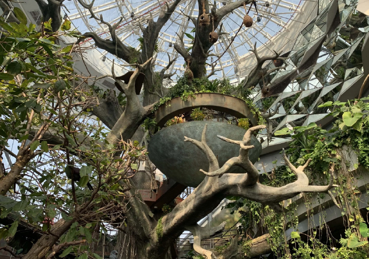 The Garden World Dubai